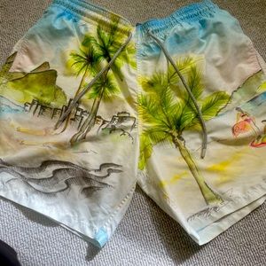 Vilebrequin swimming shorts